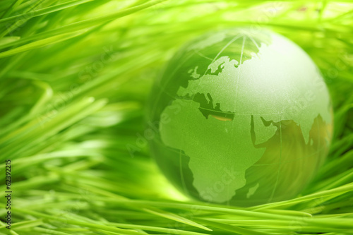 Glass globe in leaves