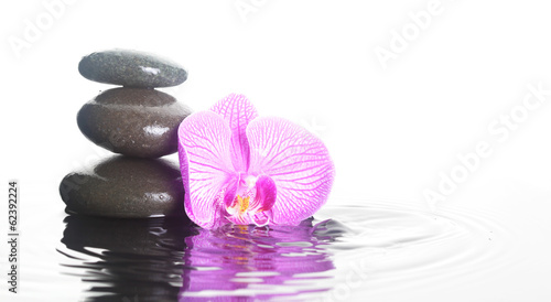 Fototapeta Naklejka Na Ścianę i Meble -  Flower and stones in water