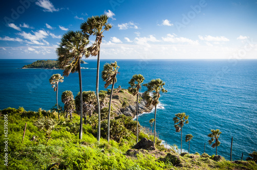 Seaview & palm trees at Promthep Cape in Phuket