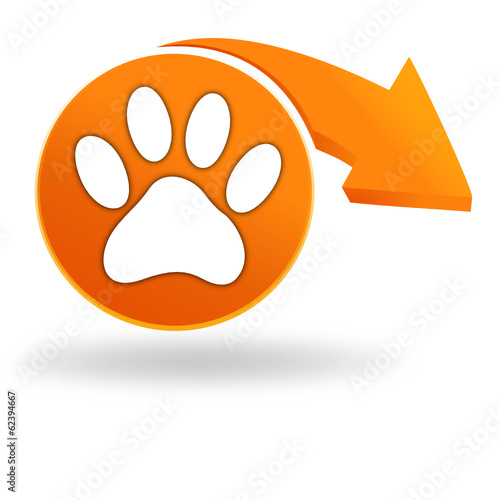 patte de chien sur bouton orange