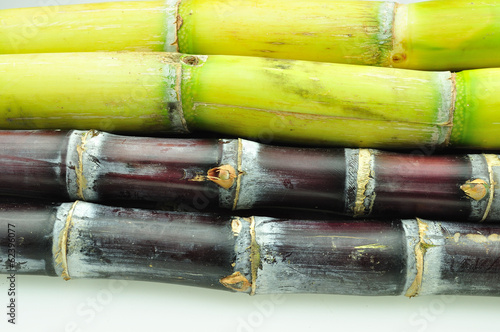 sugarcane