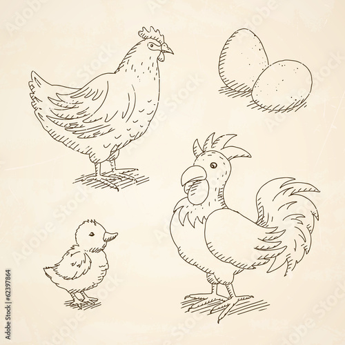 Vector Illustration of Rooster, Hen, Chick and Eggs