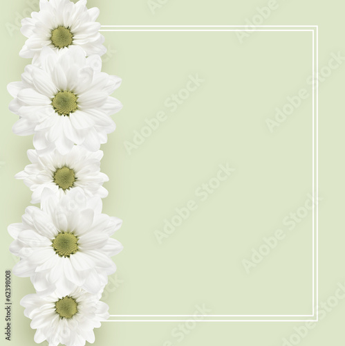 Background with daisy flowers line © Ortis