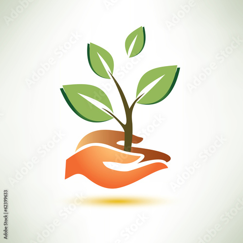 palm and plant symbol, ecology concept