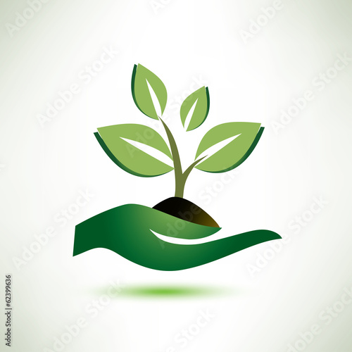 palm and plant symbol, ecology concept