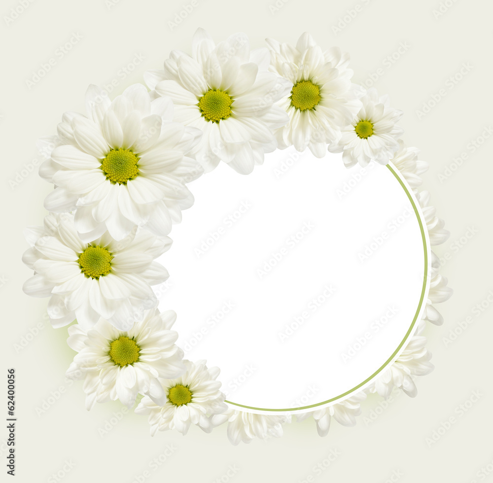 Background with daisy flowers Background with daisy flowers
