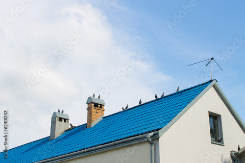 blue roof house