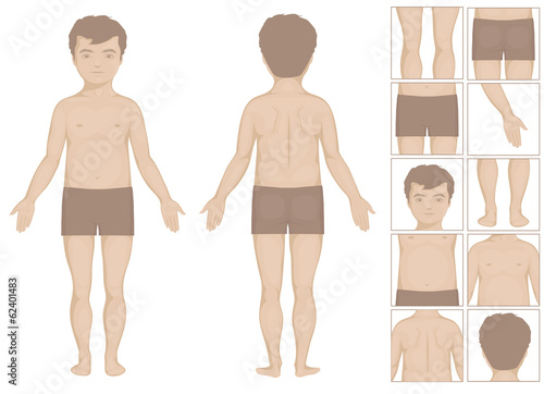 human or boy body parts, vector cartoon illustration for kids