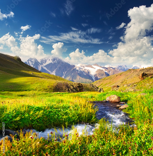 River on mountain field. Beautiful natural landscape