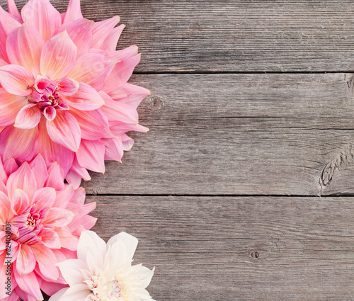 Slika na platnu dahlia on wooden background