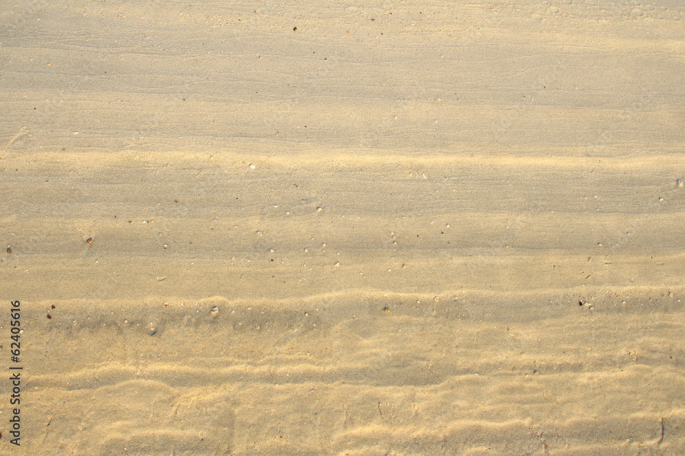 Obraz premium White beach sand textured useful for background