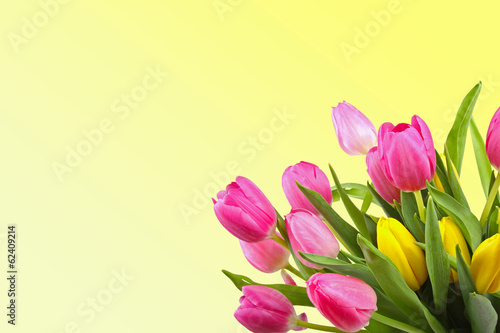bouquet of tulips on yellow background with copy space