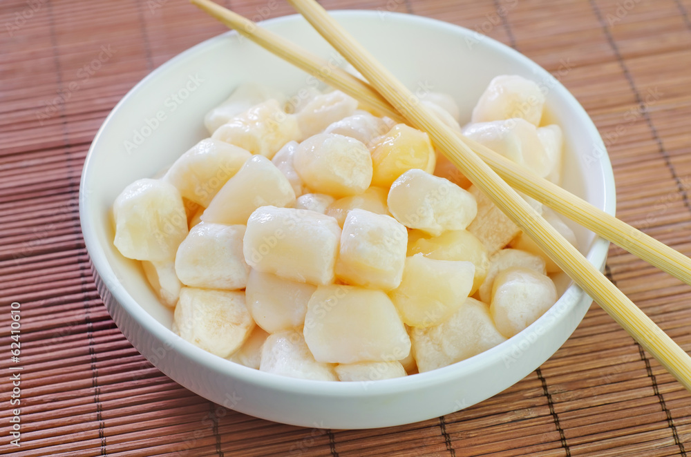scallop scallop