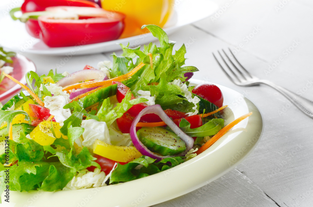 Healthy vegetable fresh organic salad Healthy vegetable fresh organic salad
