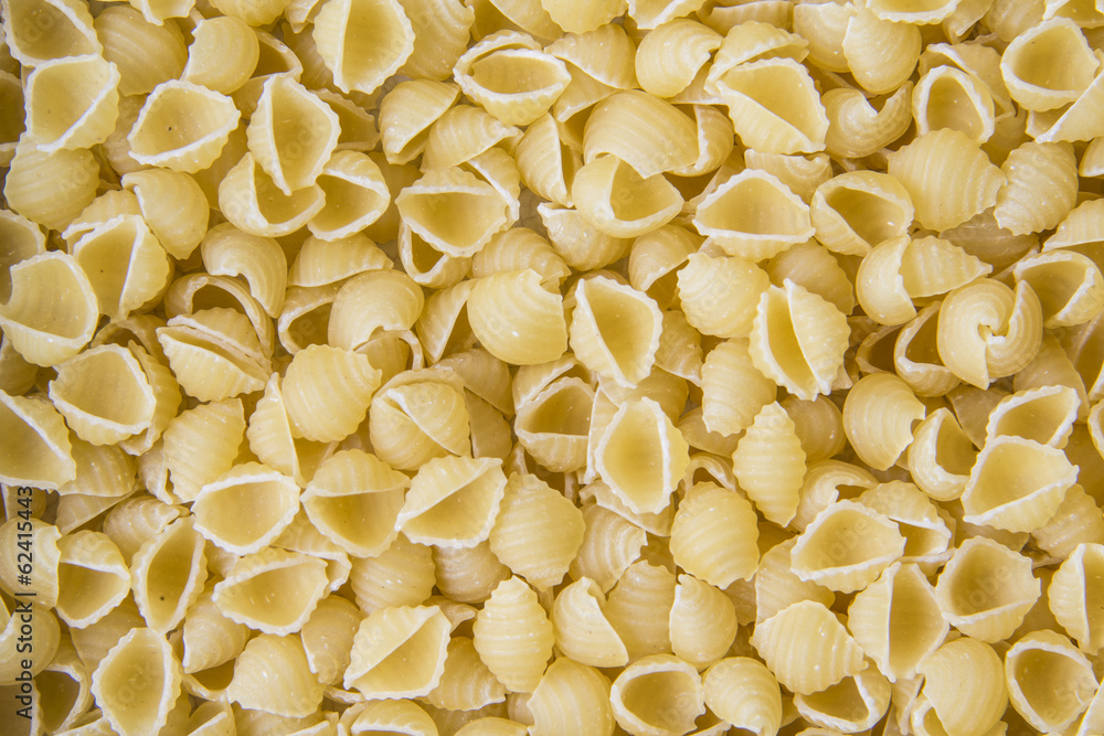 Pasta Conchiglioni Pasta Conchiglioni