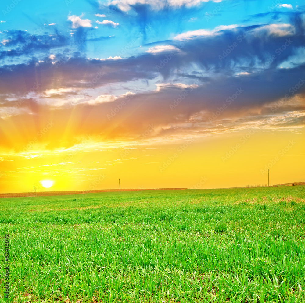 green field and sunset