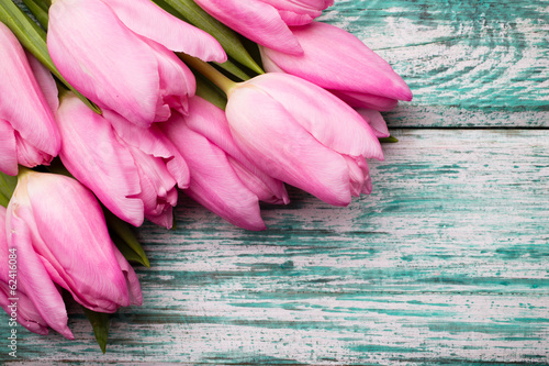 Fototapeta Naklejka Na Ścianę i Meble -  Tulip.