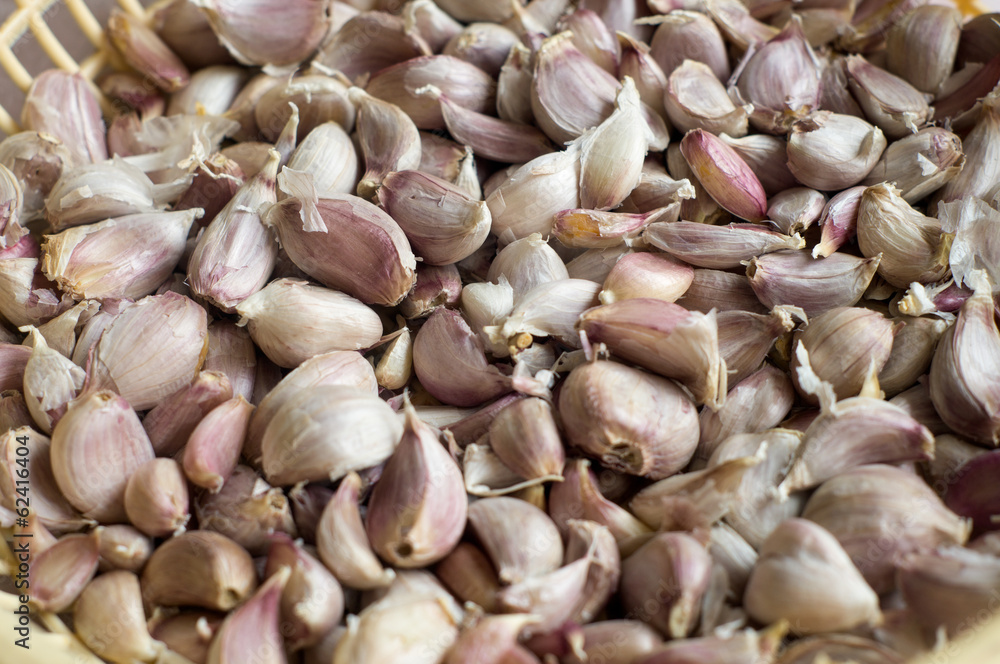 Dry Garlic Pattern using as Background Dry Garlic Pattern using as Background