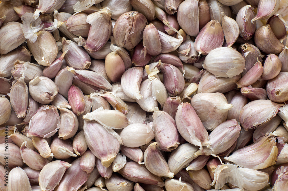 Dry Garlic Pattern using as Background Dry Garlic Pattern using as Background
