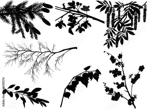 set of branches silhouettes isolated on white
