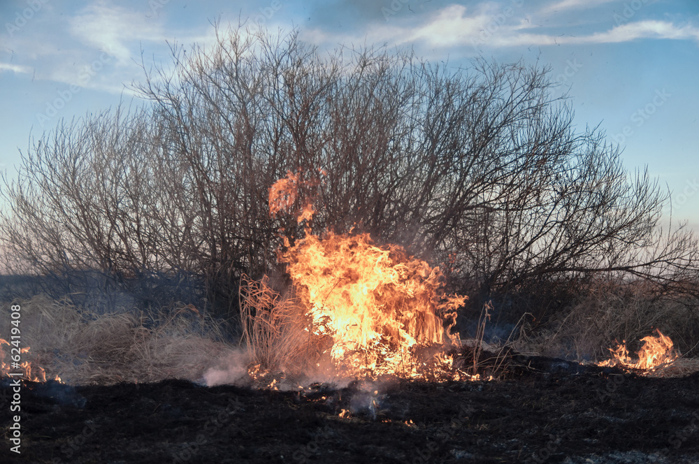 the fire in the valley of the river in the early spring the fire in the valley of the river in the early spring