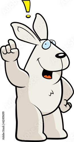 Rabbit Idea