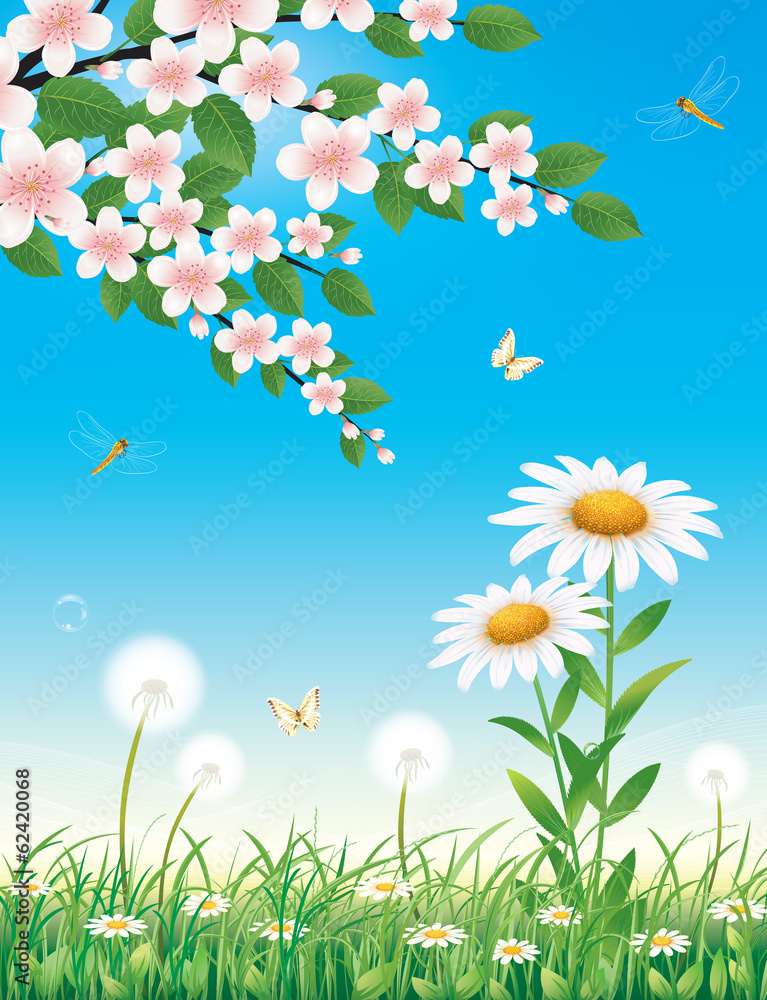 Floral meadow Floral meadow