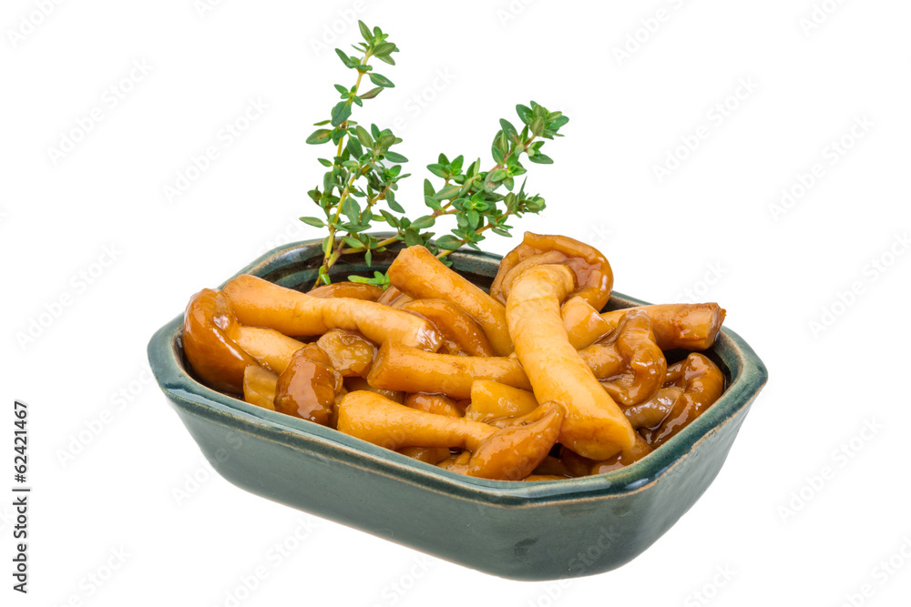 Armillaria Armillaria