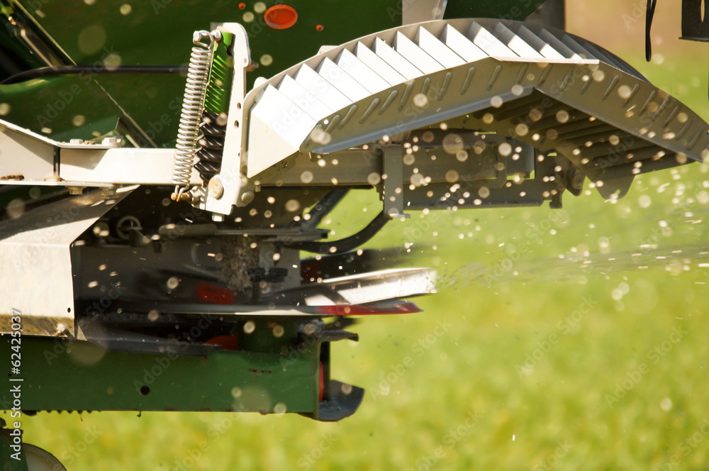 Obraz premium Getreidedüngung, Nahaufnahme