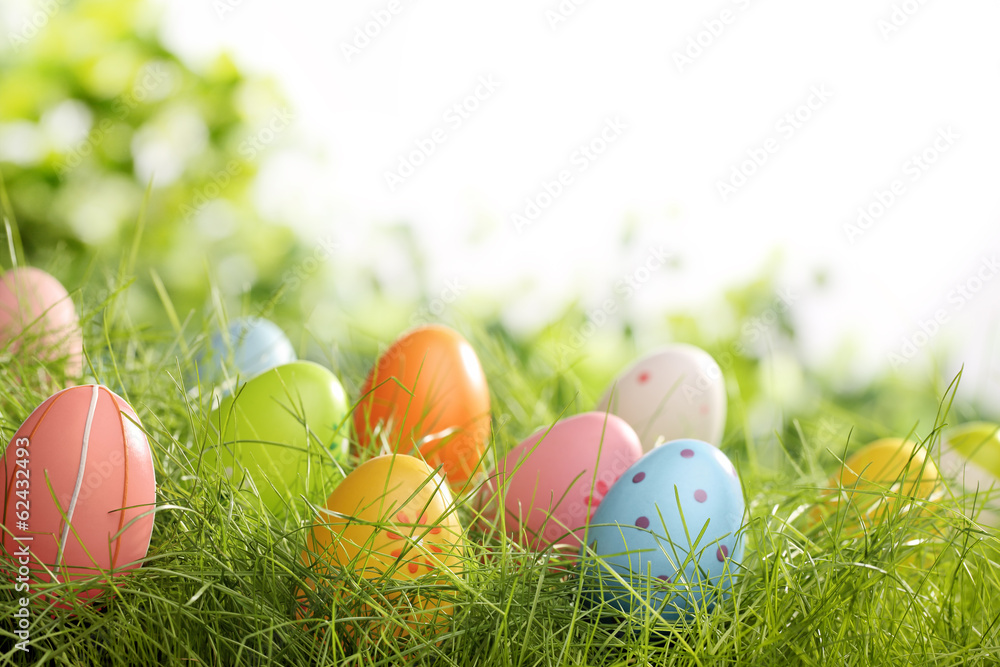 Obraz premium Easter eggs in grass
