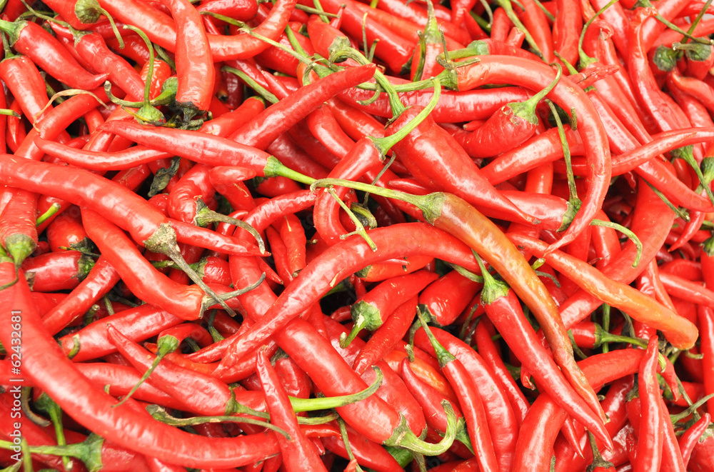   pepper harvest