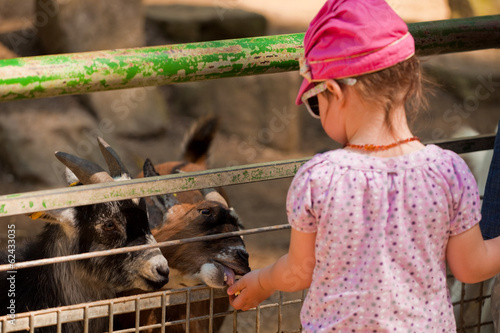 Der frisst mir aus der Hand!