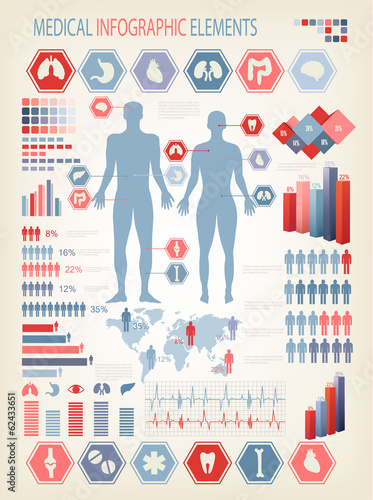 Medical infographics elements. Human body with internal organs.