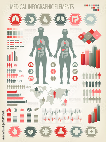 Medical infographics elements. Human body with internal organs.