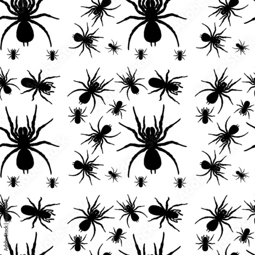 A seamless design with spiders photo