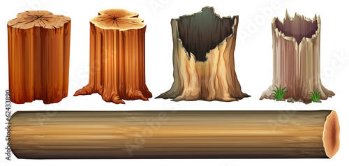 A log and tree stumps