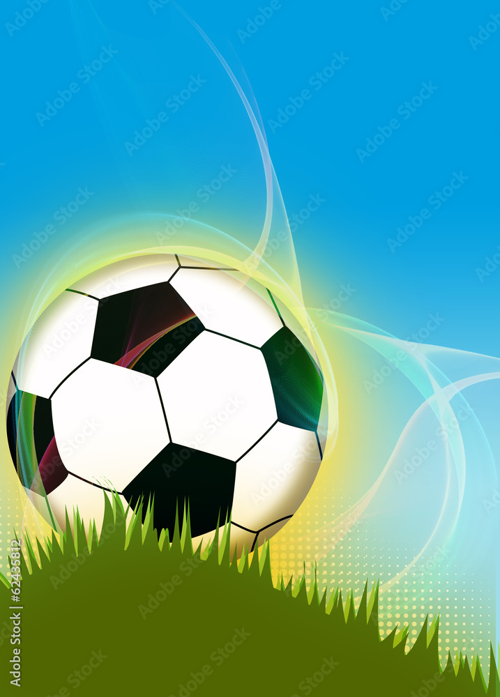 Obraz premium Soccer or football background