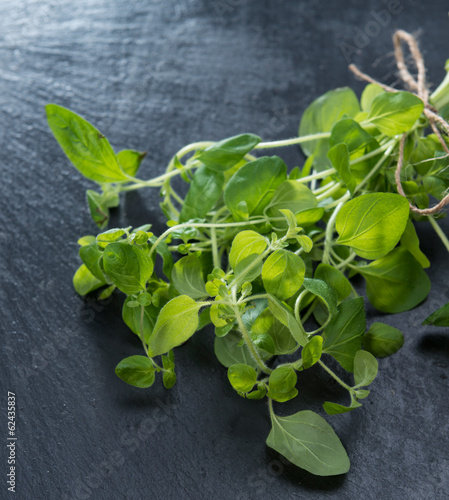 Fresh Oregano on dark background