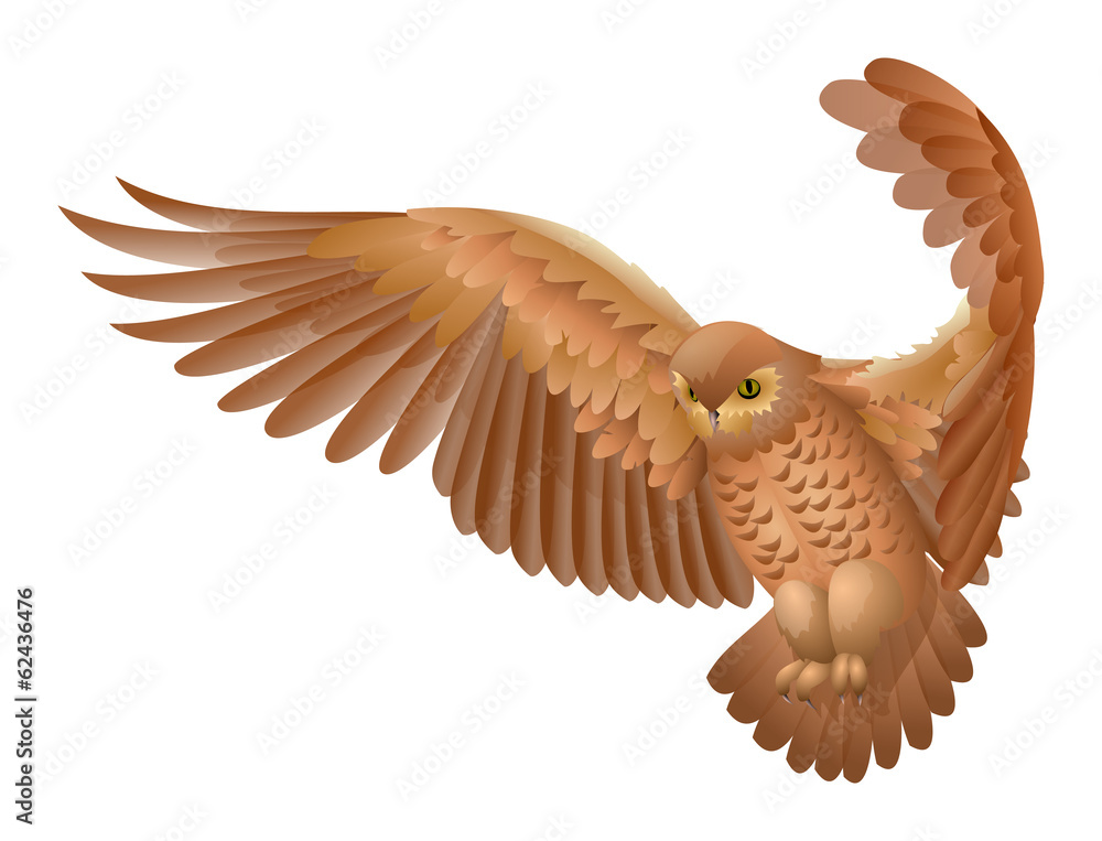 Naklejka premium Flying owl isolated