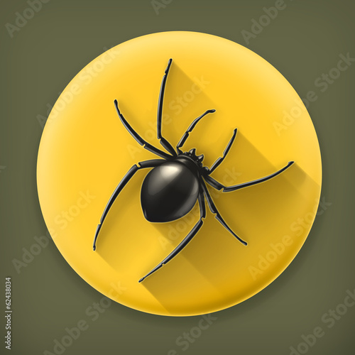 Spider, long shadow vector icon