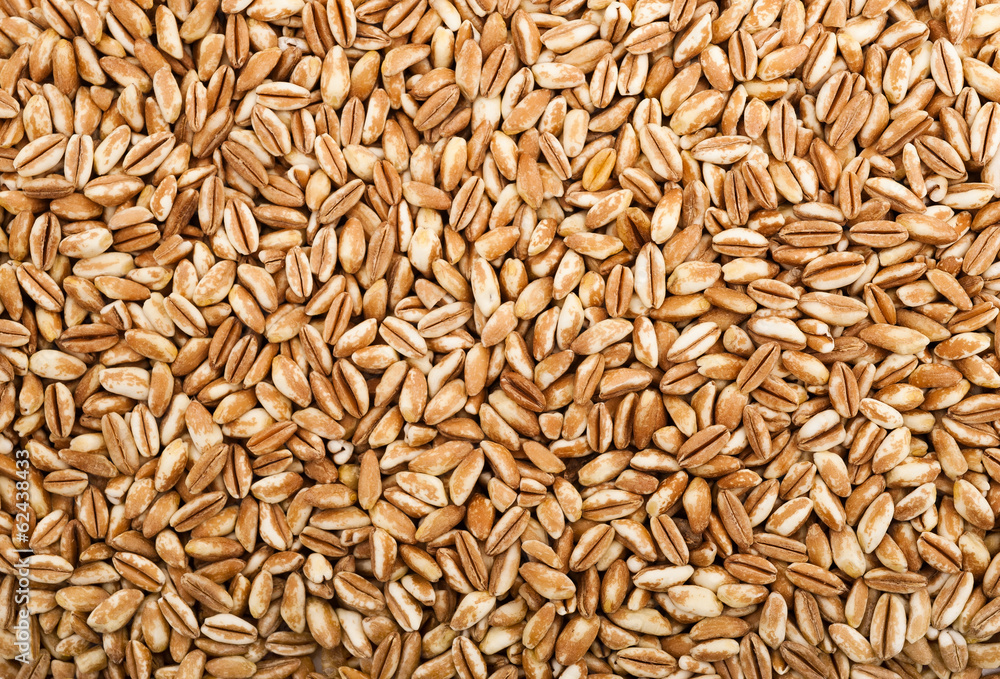 spelt spelt