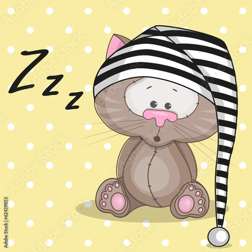 Sleepy cat