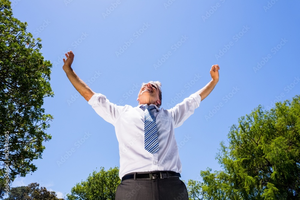 Successful businessman with arms outstretched Successful businessman with arms outstretched