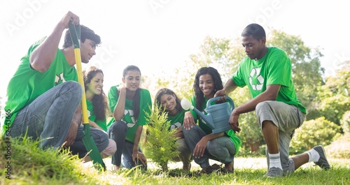 Group of environmentalists planting photo