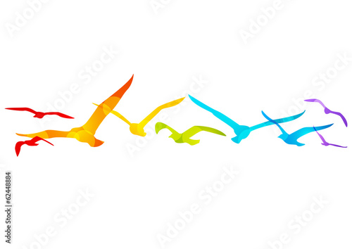 Rainbow birds border for Your design