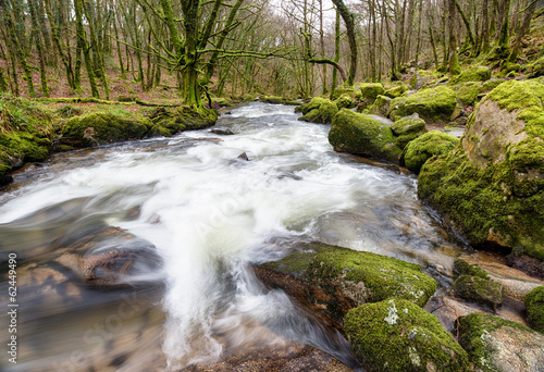 Golitha Falls