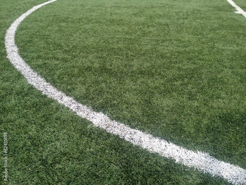 Bilde på lerret greengrass for play football