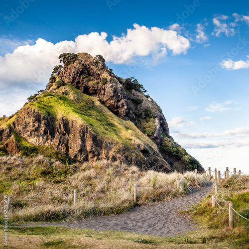 Lion Rock  (Piha Beach, New Zealand)