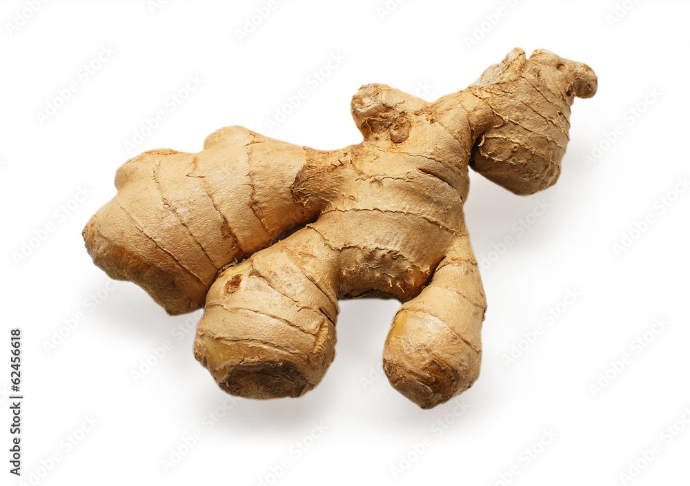 Ginger 1 Ginger 1