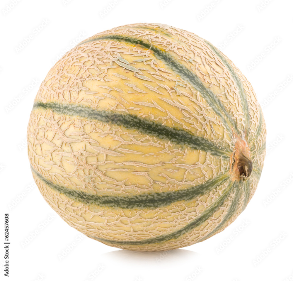 cantaloupe melon cantaloupe melon